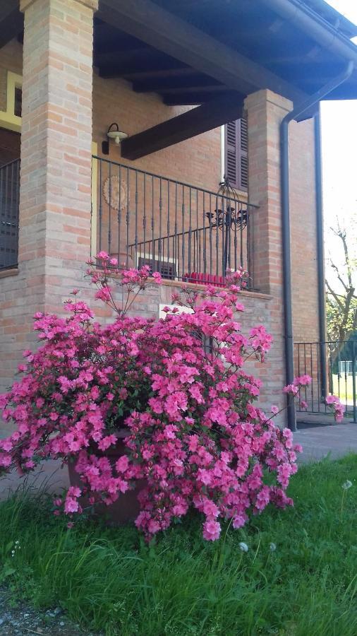 Albergo Da Ca' Vecia سبيلامبيرتو المظهر الخارجي الصورة